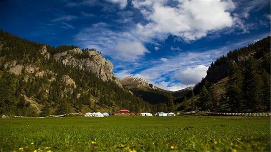 ���Ӿ��������ŵĵ粨