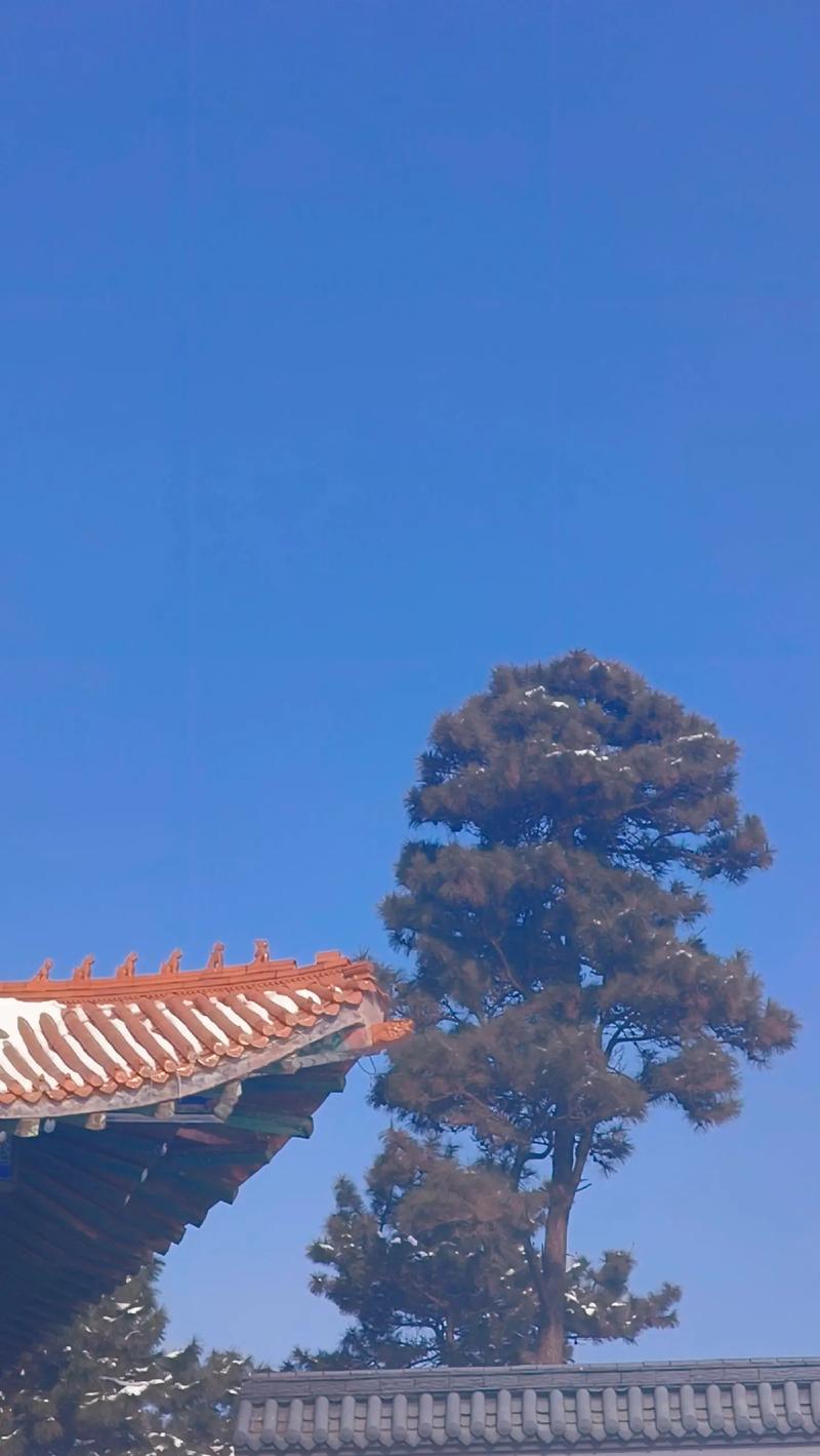 过度挑剔 很难找到对象的星座