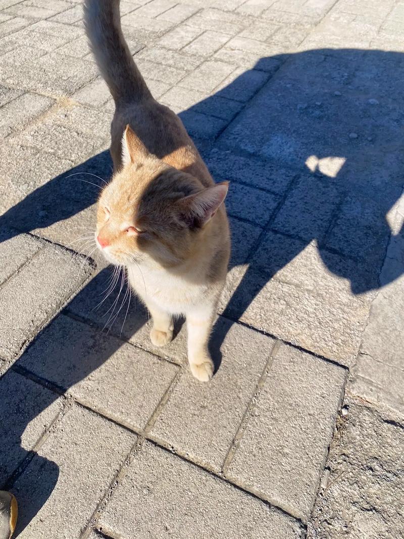 ǩʮǩԵܷԵ(ǩʮǩԵδ ϻ)