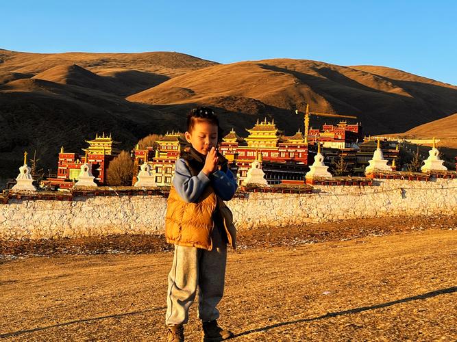 兔年到来 测车牌号码吉凶查询免费确保行车安全与运势