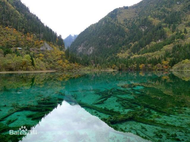 动画片变形金刚国语版