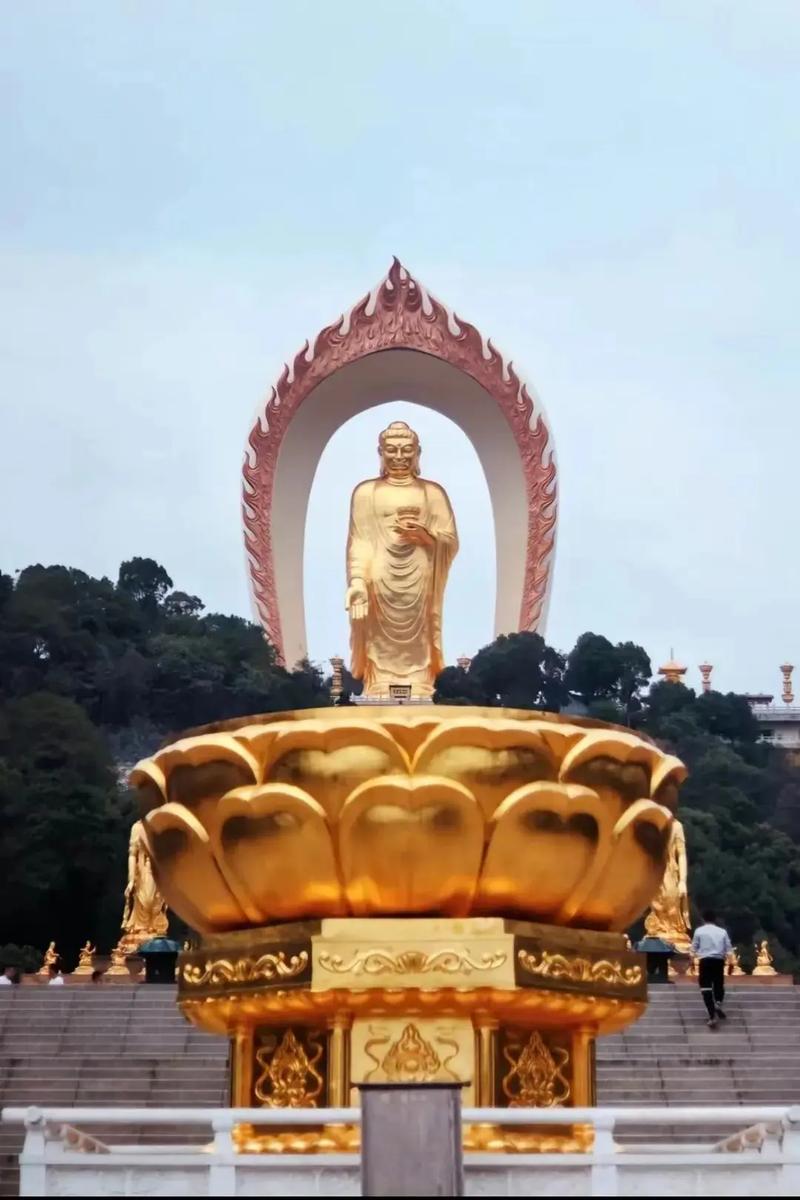 南风知我意今日首曝片花 成毅张予曦谱写治 南风知我意今日首曝片花 成毅张予曦谱写治