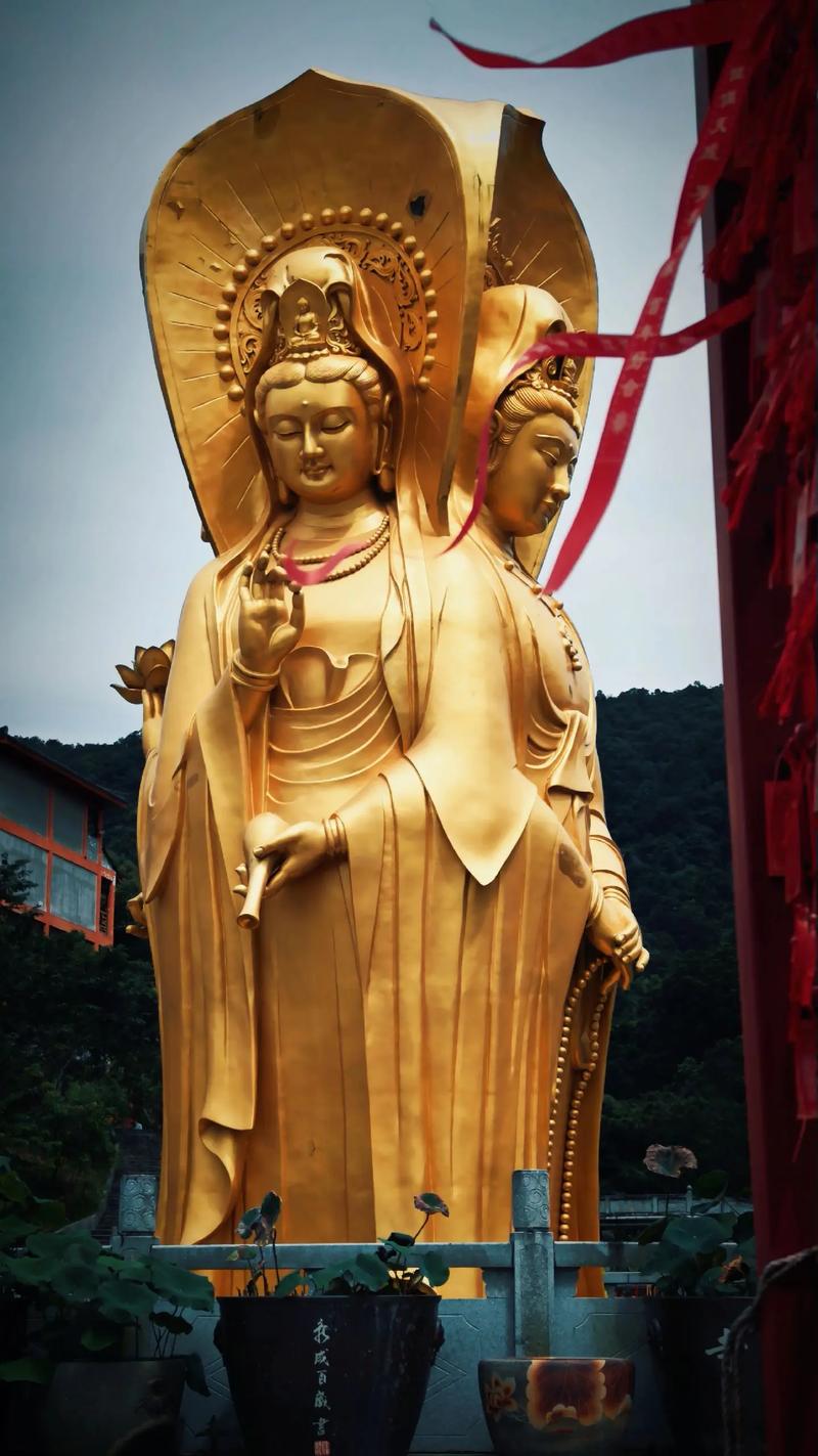 ճк2025ϲ(ճк2025ϲԢ)