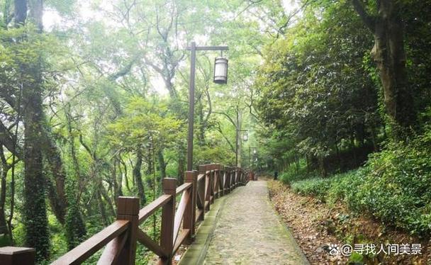 633ƺż׼ȷľЩΪ֪ʾ