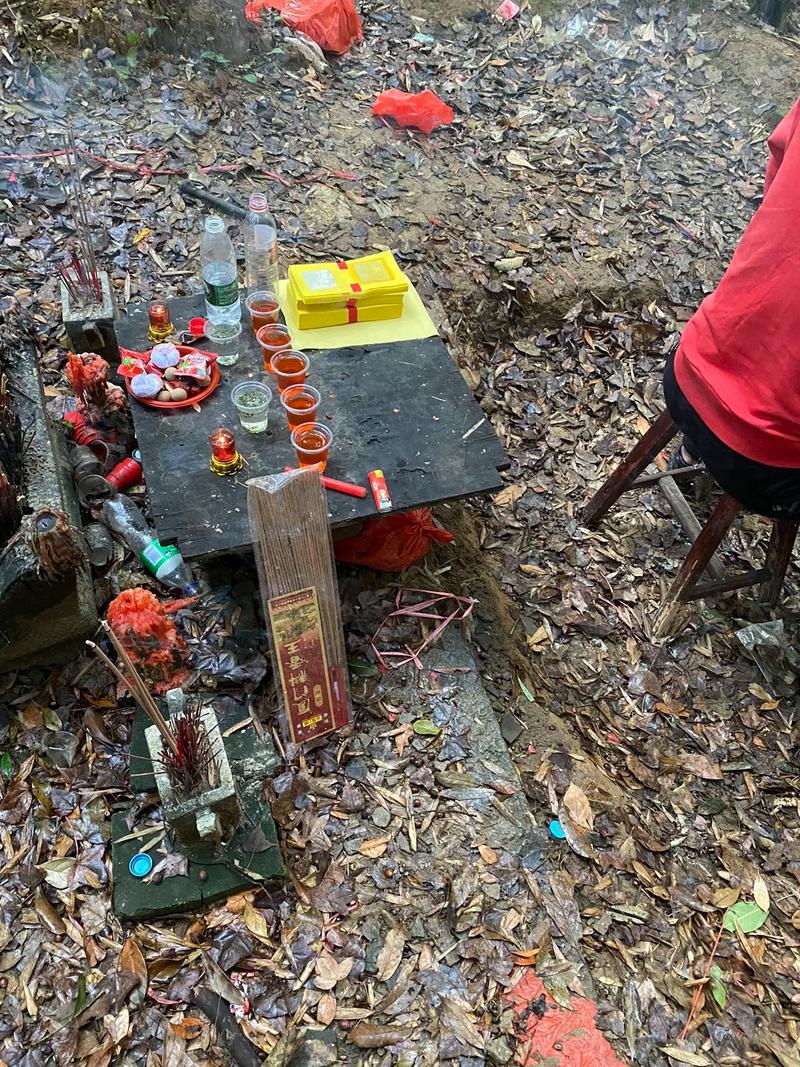 丙午宅主八字命书命运迷雾 隐秘危机暗流有几重 丙午宅主八字命书命运迷雾 隐秘危机暗流有几重