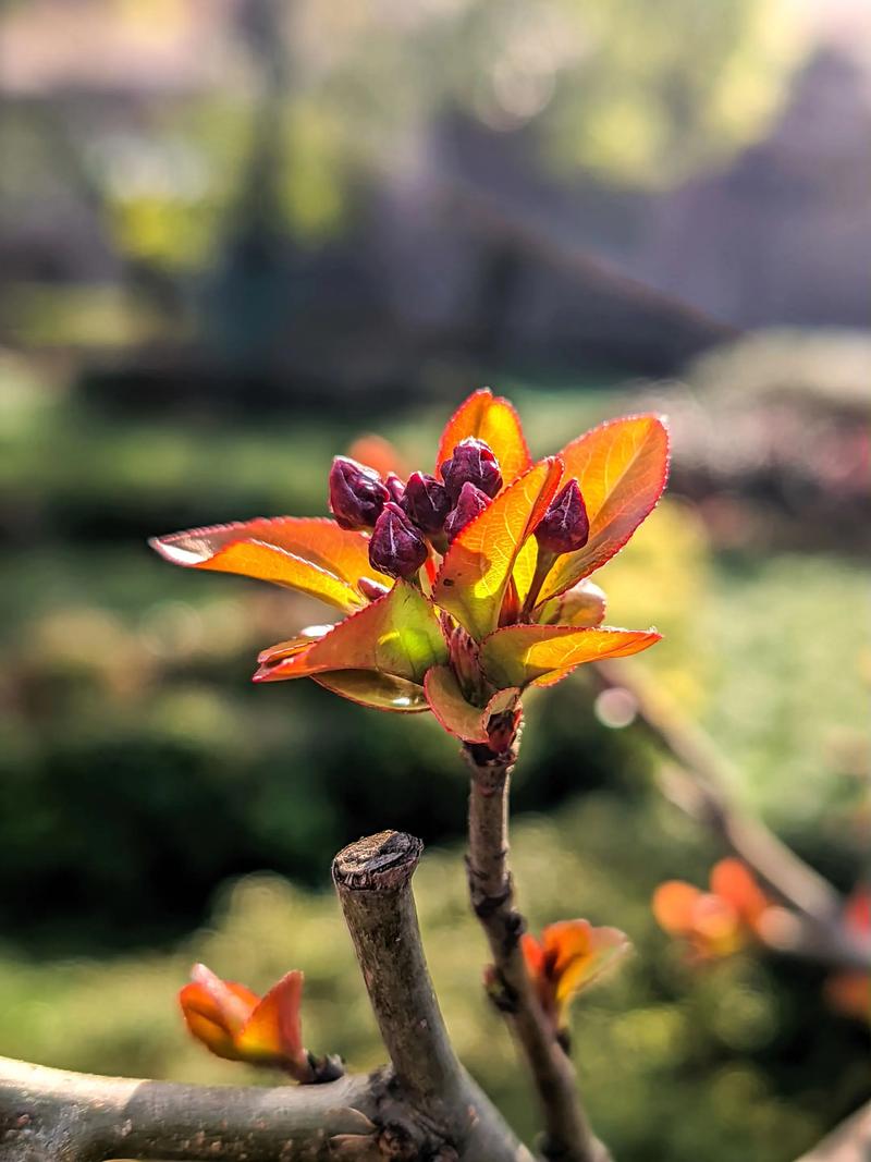 建禄格男和建禄格女相配吗 建禄格身强格是几等命 建禄格男和建禄格女相配吗 建禄格身强格是几等命