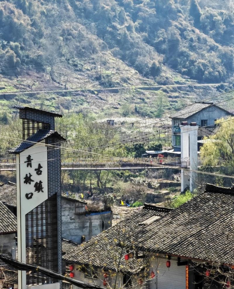 签灵祖吕解签84_人际关系有转机(签灵祖吕解签84人际关系改善可期) 签灵祖吕解签84_人际关系有转机(签灵祖吕解签84人际关系改善可期)