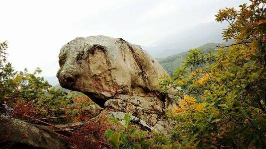 Ž԰ʾǱڵΣ(Ž԰ʾ辯)