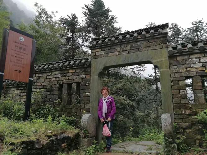 ͳвܷ񻺽ͥϵ֮(ͥϵܷͨͳв)