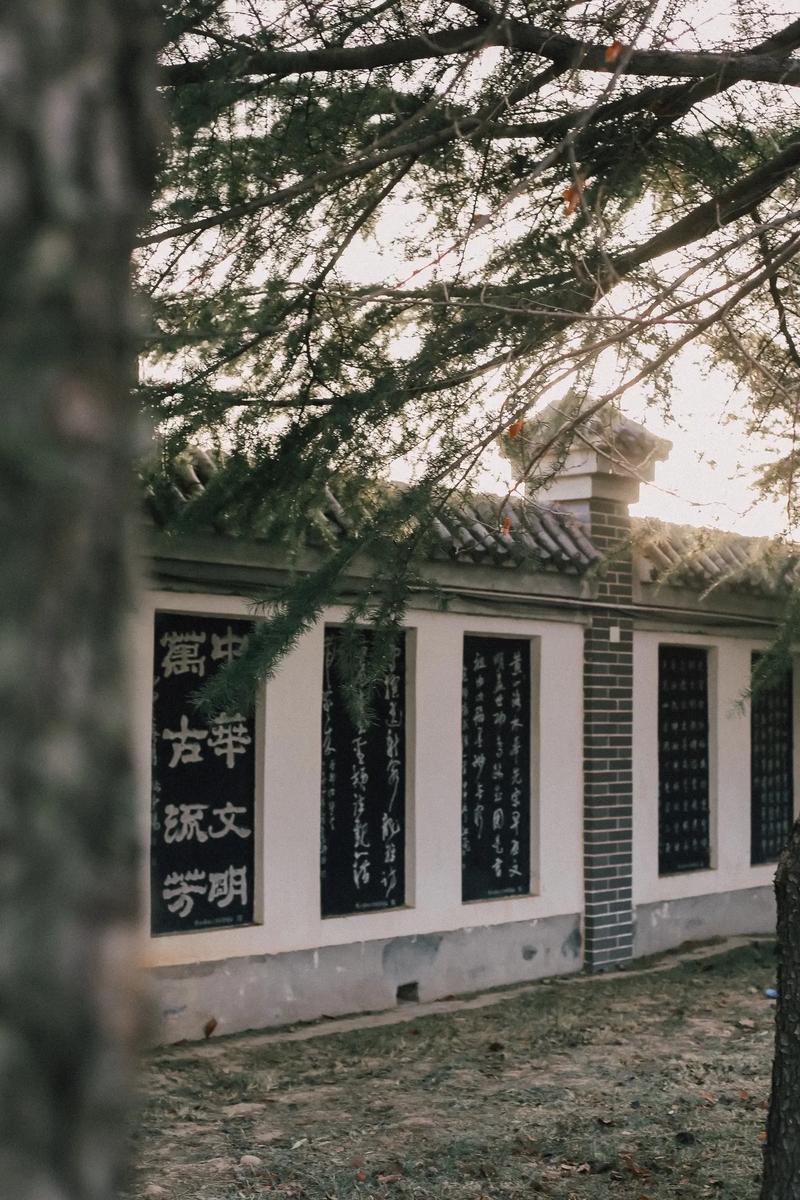 梦中身份转换的象征意义解析 梦中身份转换的象征意义解析