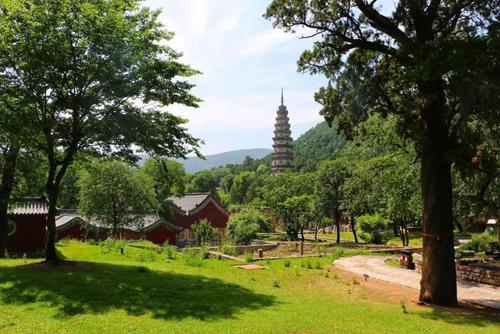 2025年男孩女孩通用的乳名 牛年宝宝小名大全