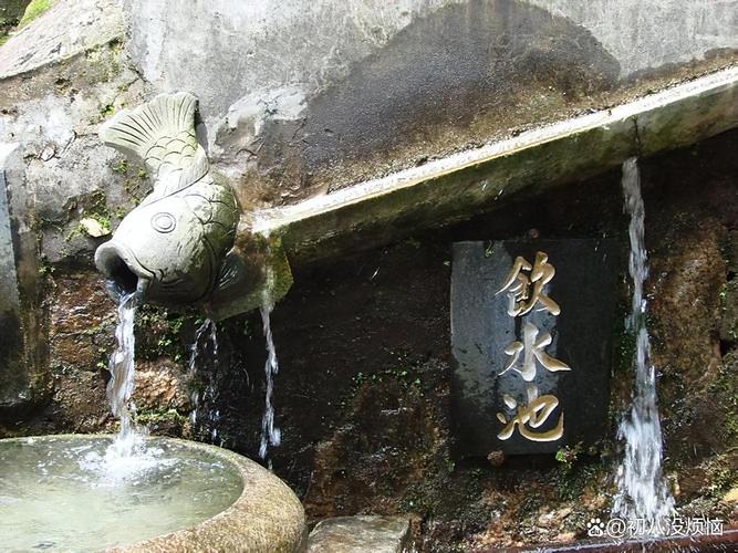 ����ƫ����ƫ�� ƫ��������֮��