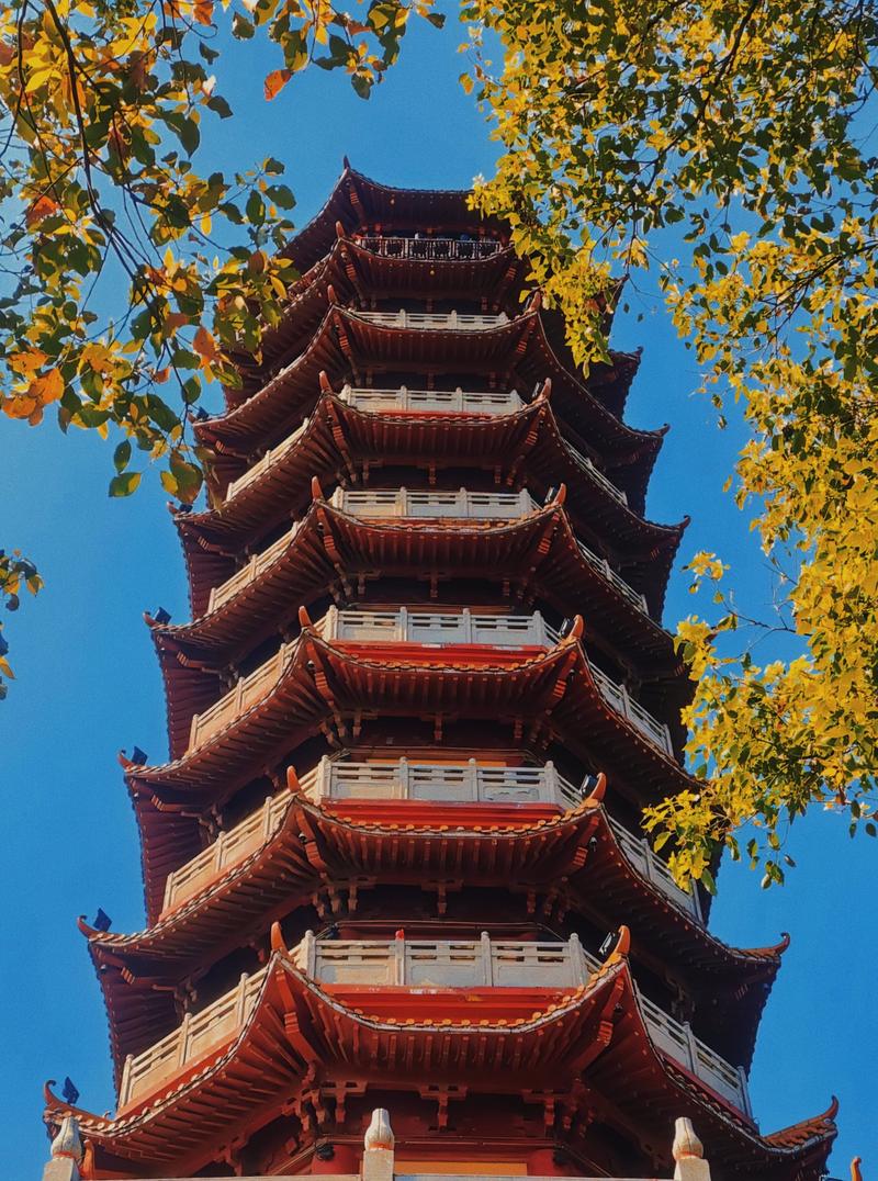 男女属相婚配表大全 男女属相决定婚配 男女属相婚配表大全 男女属相决定婚配