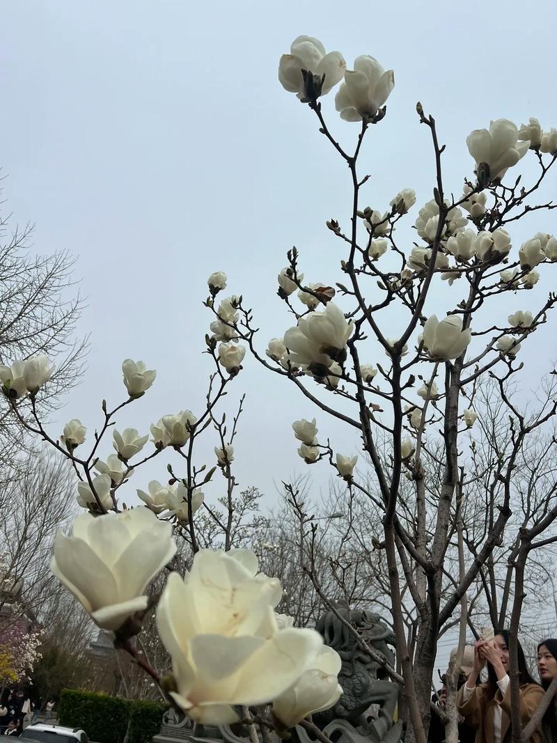 抽签算命每日一卦 抽签算命每日一卦