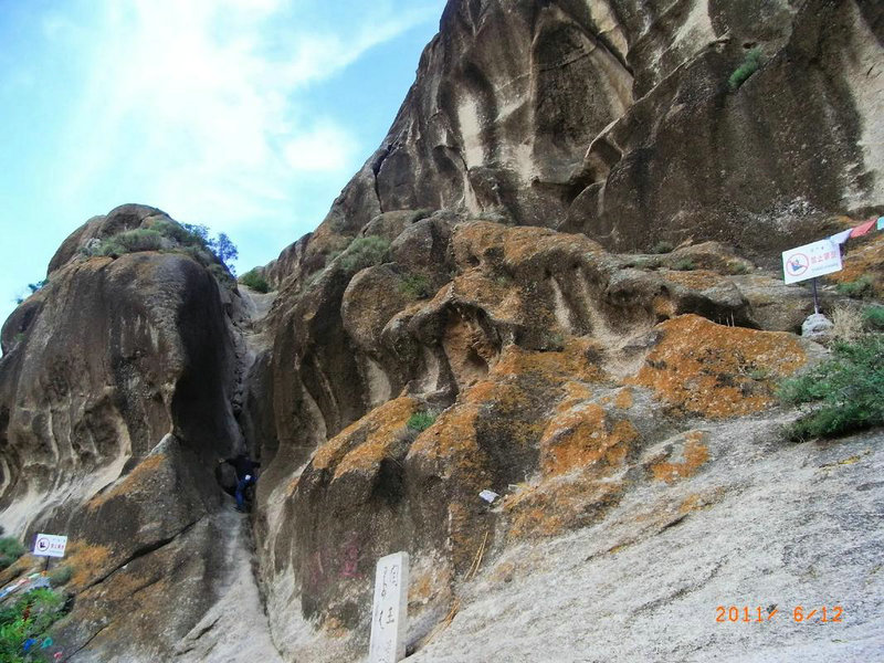 ѡʵĲϴ» Ŀϴ»ܸ