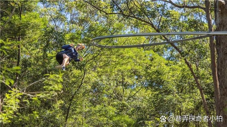 舒提啦测试得分95分_舒氏男孩相关名字参考 舒提啦测试得分95分_舒氏男孩相关名字参考