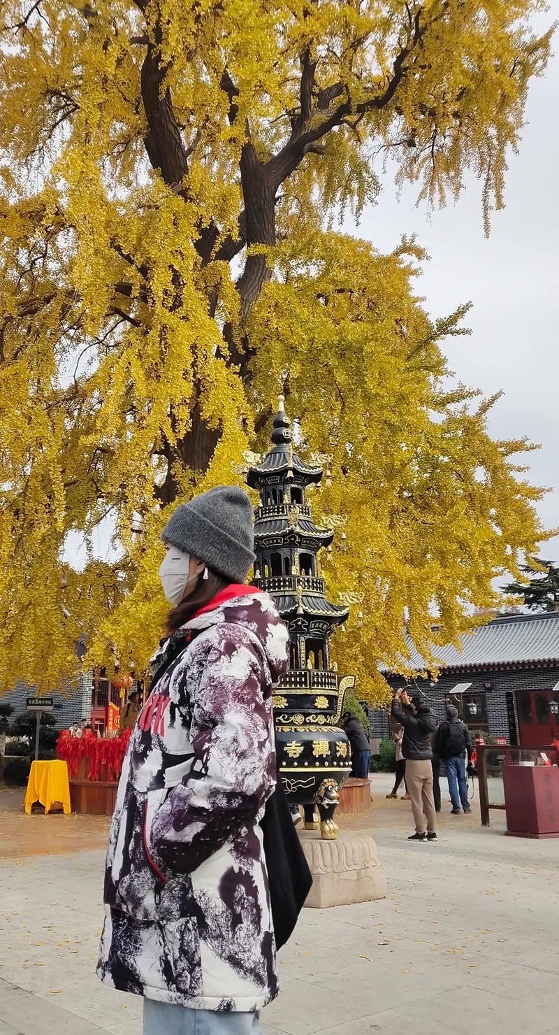 2025ũ12³ıʲô(202512·ݳıʲô )