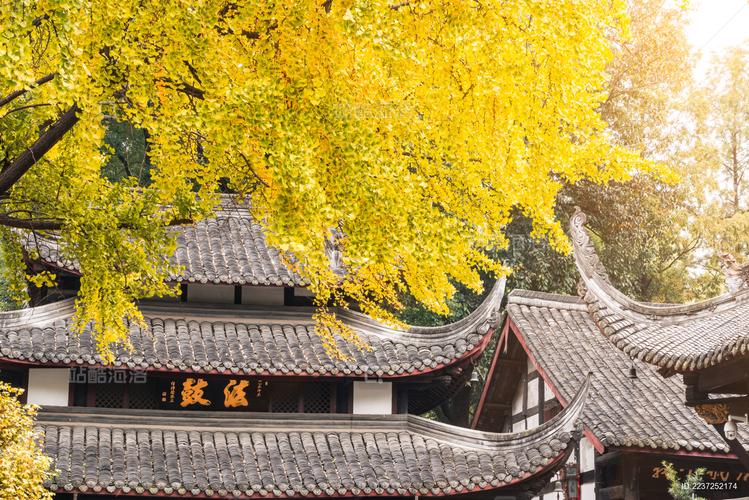 梦见大量书本预示什么 梦见大量书本预示什么