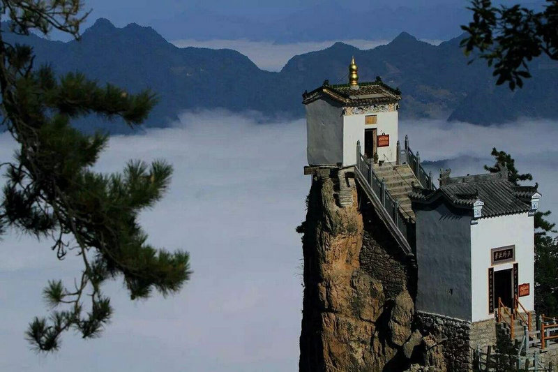 《疯狂动物城2》热播后引发剧毒蛇类热卖 闲鱼平台出现