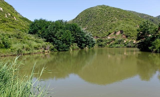 ͷʿԸ밮ʺ϶ȵδչʲôӰ