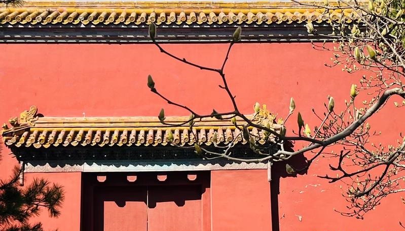 八字算命割韭菜真的能准确预测人生轨迹吗还是只是一种心理安慰 八字算命割韭菜真的能准确预测人生轨迹吗还是只是一种心理安慰