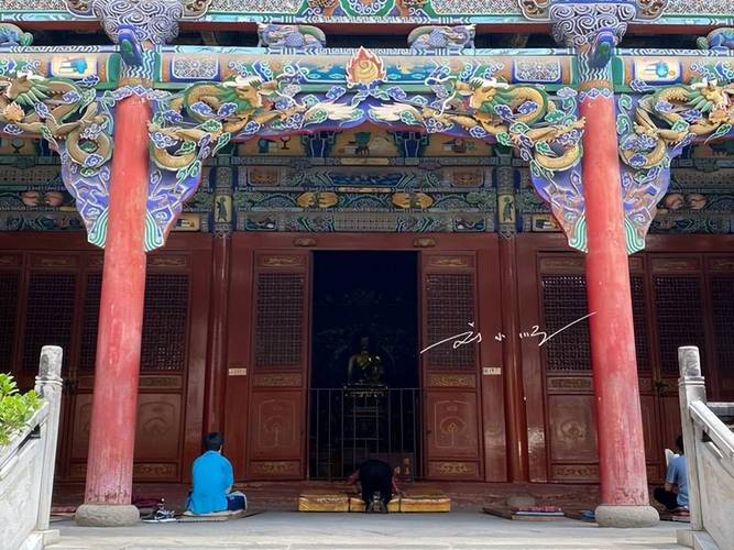 男人的命运好不好