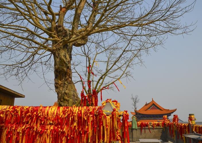 带山旁吉利字虎年女孩名字 寓意美好的女宝宝取名宜用字 带山旁吉利字虎年女孩名字 寓意美好的女宝宝取名宜用字