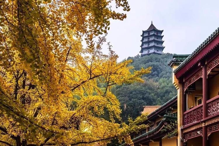 电视剧阿信 电视剧阿信演员表大全