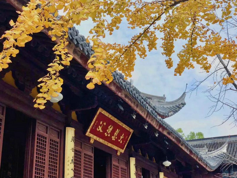 年支八字命理隐藏着什么不为人知的命运 年支八字命理隐藏着什么不为人知的命运