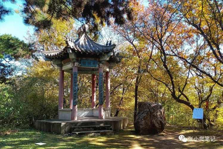 带茹字有诗意女孩名字 含茹字女孩名带解释 带茹字有诗意女孩名字 含茹字女孩名带解释