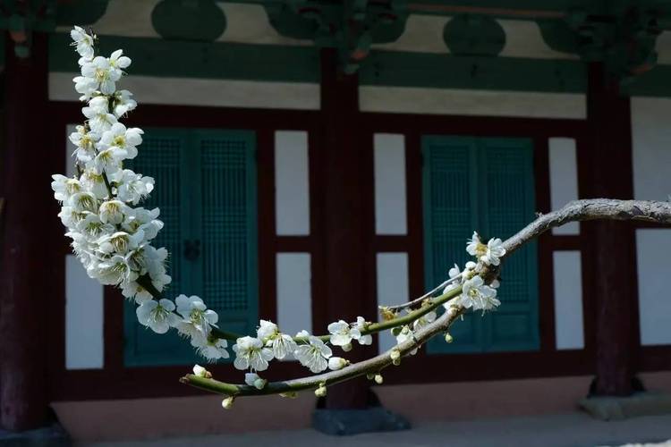 黄大仙签怎么夫妻宫日支顺利(黄大仙签怎么_夫妻宫日支