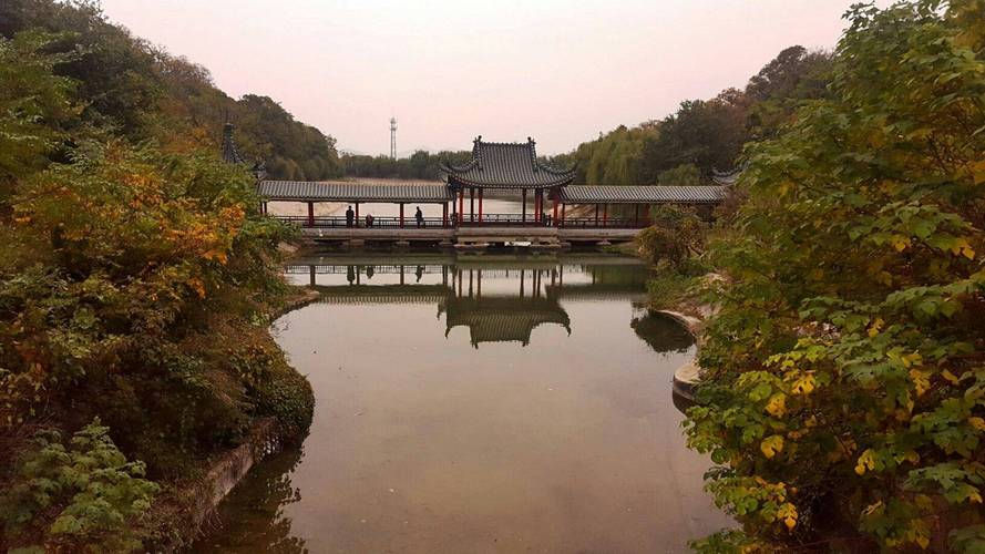 狗和各个生肖配对好吗