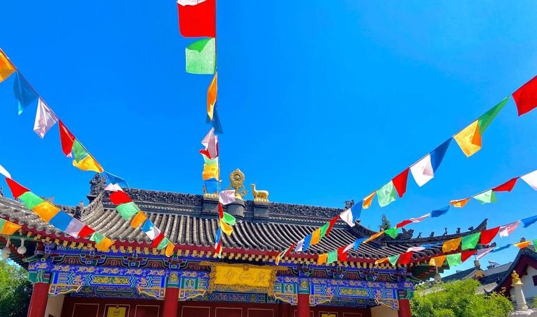 舒淇的影片 舒淇的影片热播