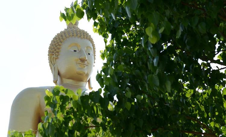 ���ֻ����������˸��������������ܵ������Ӱ������