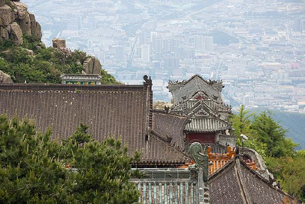 洪欣个人资料简介老公