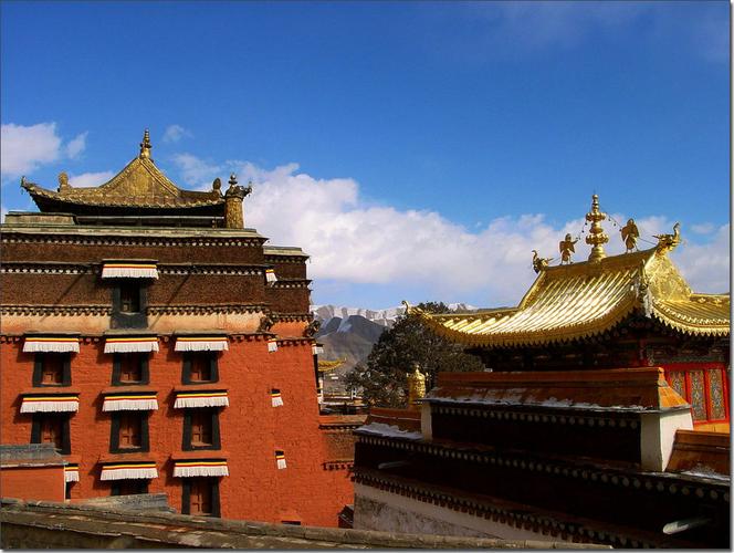 Ͼ2025¿̳ 2025Ͼ̳ʱָӪҵ