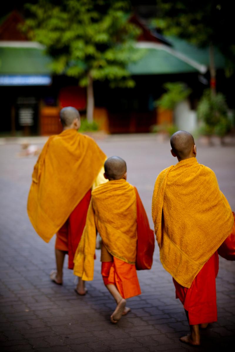 母亲属羊孩子属鼠好吗 母亲属羊孩子属鼠好吗