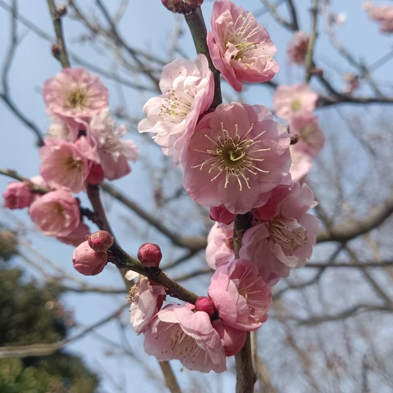 婚纱影楼活动方案 影楼营销策划活动方案 如